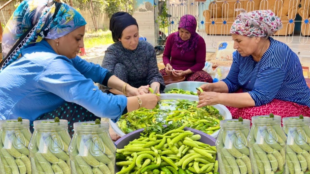 HALAMIN KÖY EVİ İLK SALATALIK ACUR HASADI | LEZZETLİ KÖY TURŞU HAZIRLIĞI VLOG