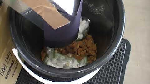 Almond Sorting for with skin by MK , ANZAI COLOR SORTER, JAPAN