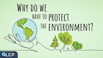 Why Should We Protect The Environment? | 🎙️ 8 Minute English | Beginner