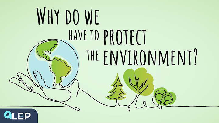 Why Should We Protect The Environment? | 🎙️ 8 Minute English | Beginner