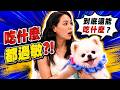 吃什麼都過敏？！到底能餵什麼？｜醫學大聯盟 精選