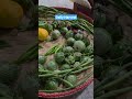 Guyana long beans, Thai eggplants and peppers, and lemon drop squash  in today's garden haul.