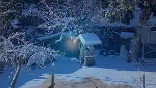 The Freezing My Ass Off Majestic Winters’s Blues