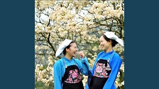给我一张回家的车票（完整版）