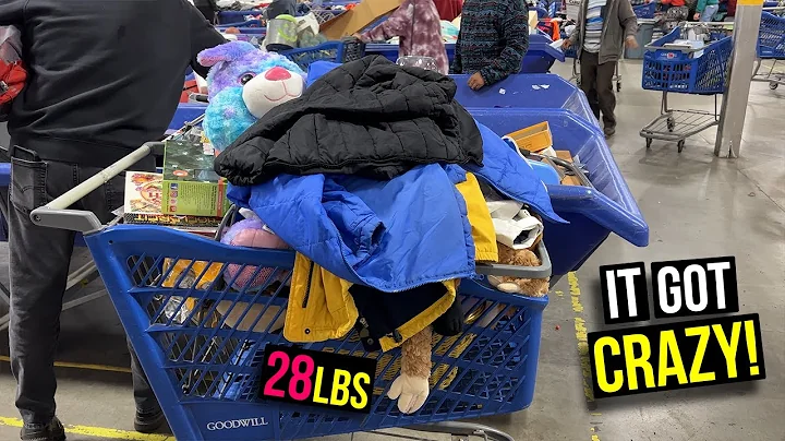 THEY WANTED THIS BIN SO BAD THEY PUSHED ME RIGHT OUT! 28lb HAUL! #thrifting #goodwill #resale