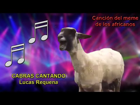 CABRAS CANTANDO - Astronomía (meme ataúd africanos)
