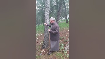 تلاوة طيبة بصوت الشيخ محمد كامل ربعي