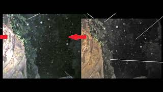 Scarlet Talks - Collage of almost all the night photos  -  Kris and Lisanne disappearance  in Panama Net Worth