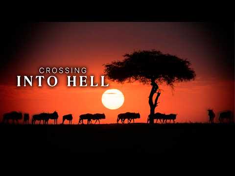 Wildebeest Migration | Nature’s Greatest Journey