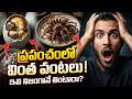 World’s Weirdest Foods Ever Served – Would You Try These ?