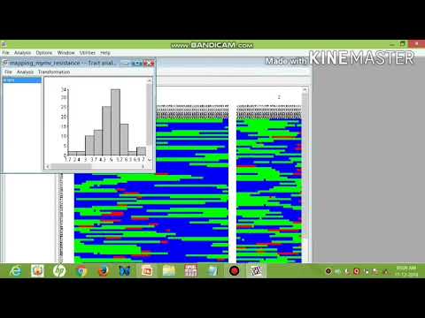 QTL analysis using Q gene software