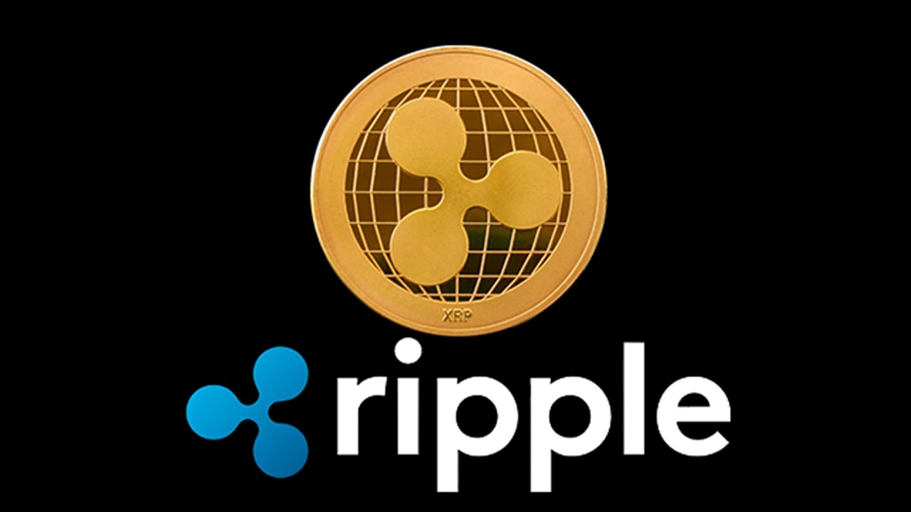 XRP RIPPLE CEO 90% !!!! SENIOR SOFTWARE ENGINEER FOR XRPL SAID THIS ...