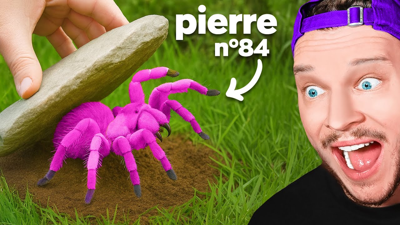 Retourner 100 Pierres dans une Jungle Tropicale, voici ce qu'il a trouvé..