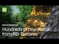 What's new in Megascans and Bridge? Ep. 7