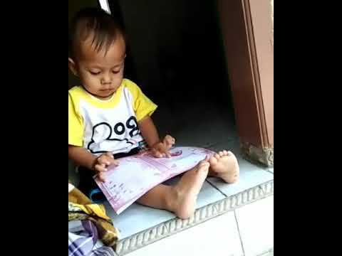 Davin habis tari abatasa