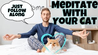 Guided Meditation With Your Cat - Relax & Bond With Your Feline Friend 🐈