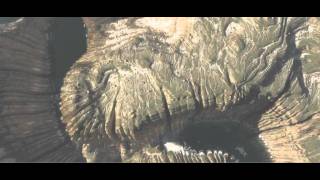 VUE 9.5 xStream Terrain River red 2