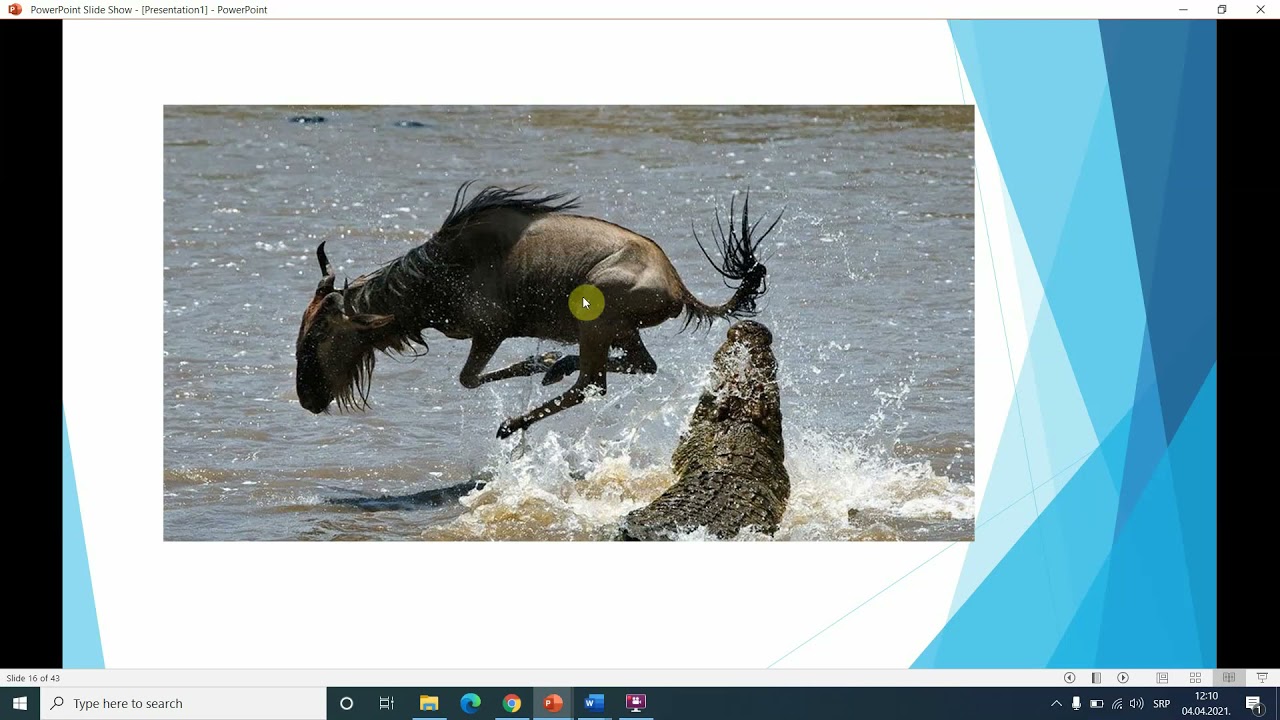 Ishrana kod životinja