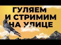 Гуляем с вороном Гошей и отвечаю на вопросы.