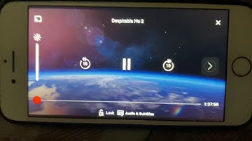 Opening Logos Despicable Deluxe Audio Description