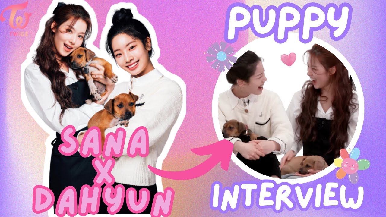 TWICE SANA x DAHYUN (SAIDA) with Puppies