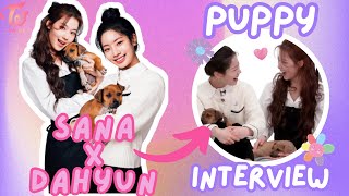 TWICE SANA x DAHYUN (SAIDA) with Puppies