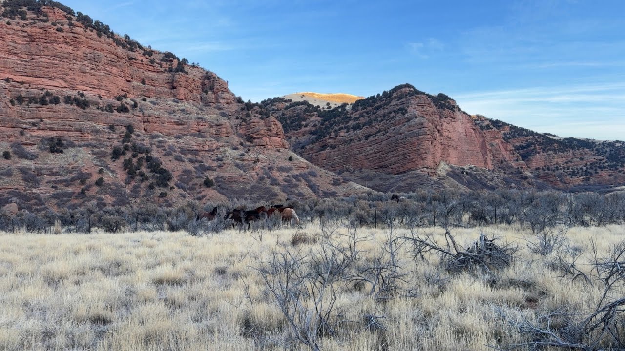 ￼ almost to Arizona man o man