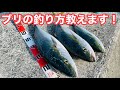【投げるだけで爆釣】超簡単なブリの釣り方。最強のエレベーター式【ショアジギング/飲ませ釣り】