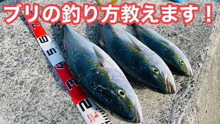【投げるだけで爆釣】超簡単なブリの釣り方。最強のエレベーター式【ショアジギング/飲ませ釣り】