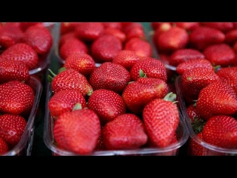 Moroccan Farmers Display Harvest At Annual Strawberry Festival 