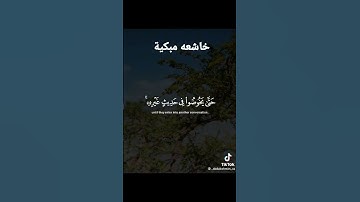 تلاوة خاشعه مبكية #اليمن #السعودية #دعاء #دينيه #عثمان_الخميس #مستجاب #افريقيا #الاردن #الامارات