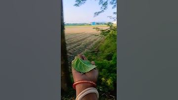 Những Vật Dụng Đa Năng & Tiện ích Trong Đời Sống Hiện Đại😱🤩😆👍#cute #funny #shorts