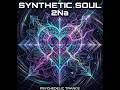 SYNTHETIC SOUL - 2Na [Psychedelic Trance]
