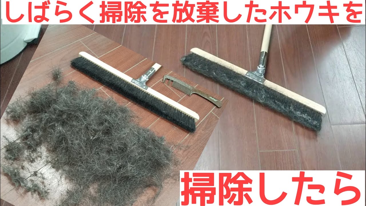 しばらく掃除を放棄したホウキを掃除したら Youtube
