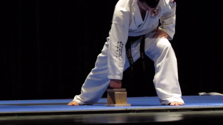 Black Belt Extravaganza 2014- Melbourne