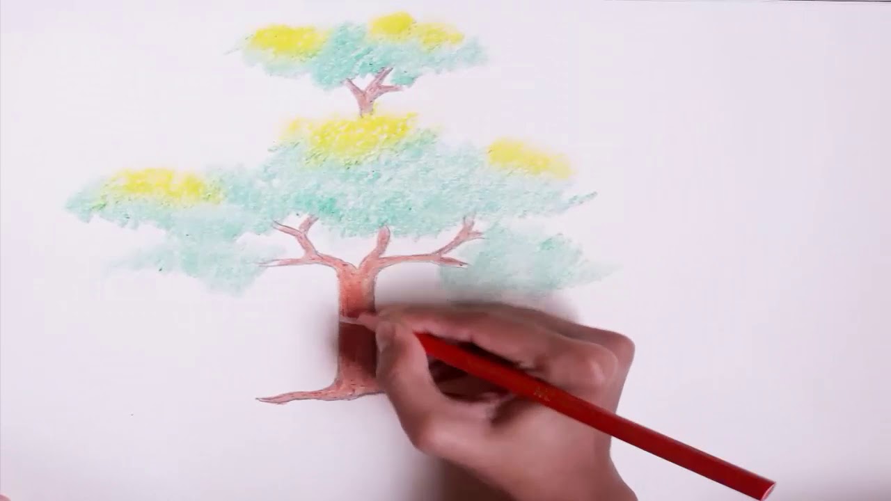 How to Draw a Tree Step by Step - YouTube