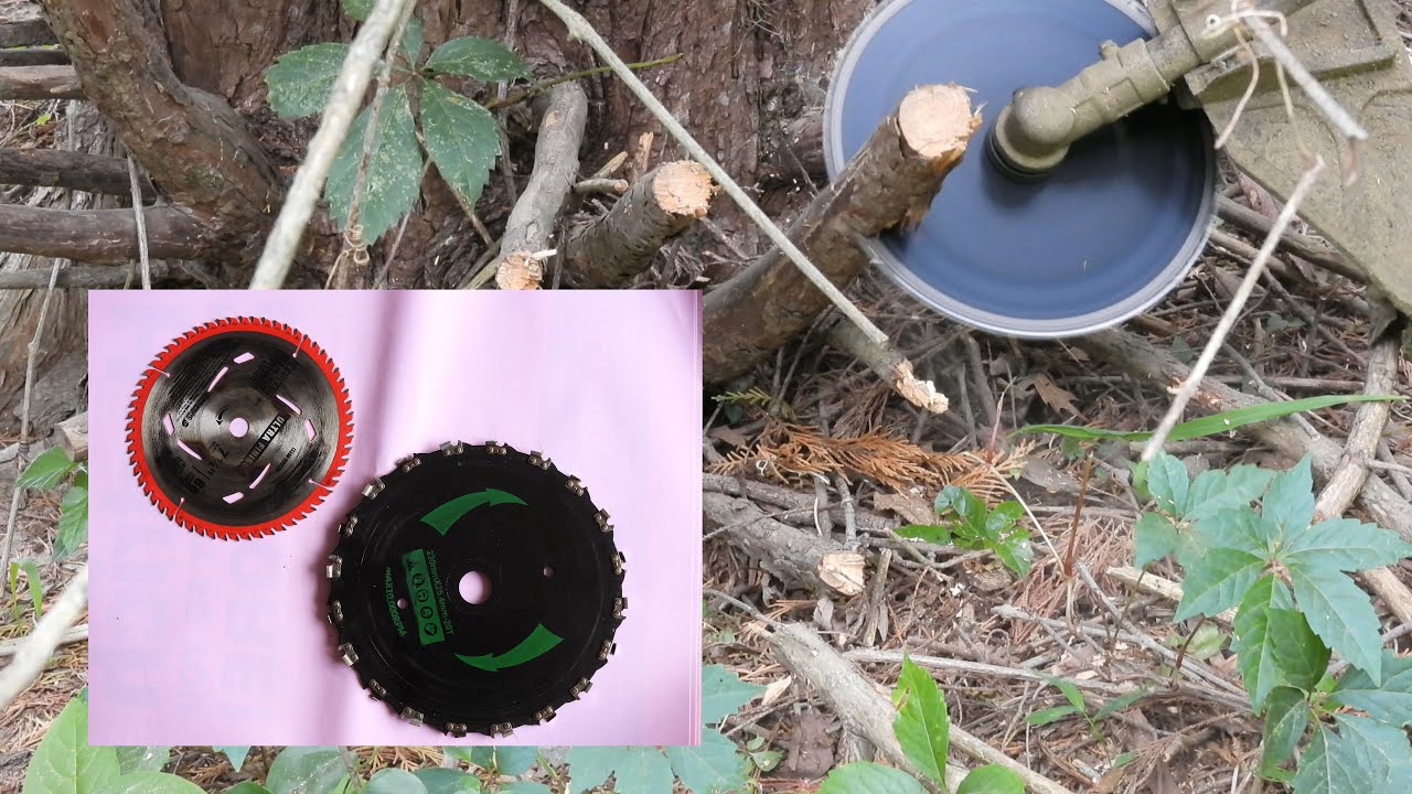 A showdown between a brush blades with saw chain cutter and a standard circular saw blade