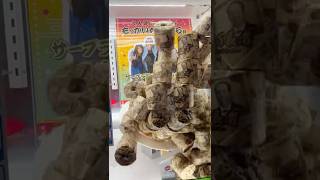 店員さんごめんなさい