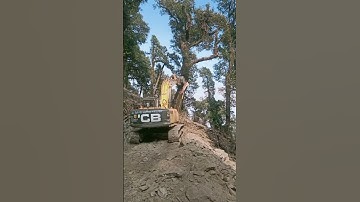 JCB removing trees while making a new road#trending #shorts