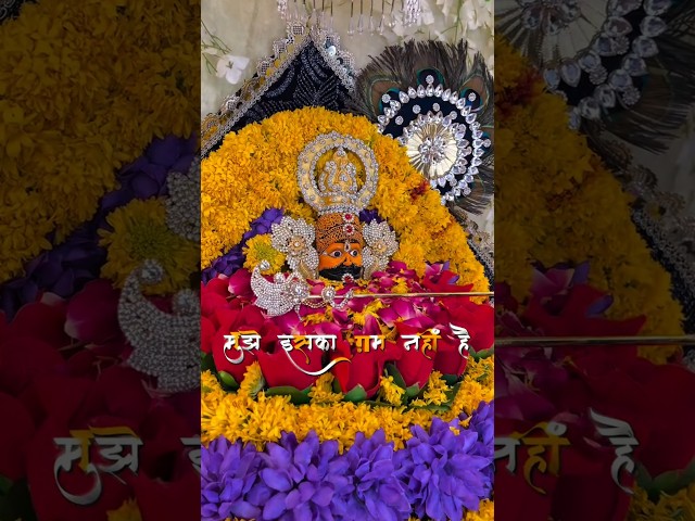 जय श्री श्याम #shyamkajhunjhuna  #shyamkajhunjhuna #khatuwale #khatushyambaba