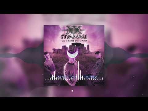 La Tribu de Dana - Manau (PLANET ZYHA D&B REMIX)