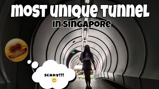 Alexandra Technopark Tunnel || Alexandra Pedestrian Underpass ||Singapore's Unique Underpass