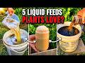 Bring Dead Plants Back to Life with These 5 Powerful Liquid Feeds!
