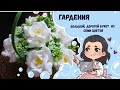 ♥ Шикарная Гардения ♥ Заливка формы ♥ Сборка букета ♥ форма от HobbyPage ♥ Мыловарение ♥ Мыло ♥ Soap