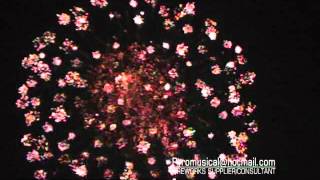 Fireworks sample show(shell)308