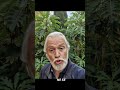 Si tu dois insister c'est déjà fini ?#motivation