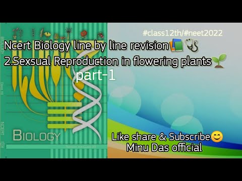 #Ncert Biology line by line revision chapter2 sexual Reproduction in flowering plants part1#class12