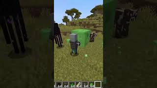 The COOLEST Minecraft Vindicator fact… #shorts