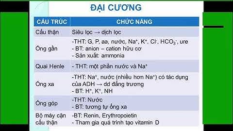 Sinh Lý Bệnh -  Thận,Tiết niệu / ĐH Y Dược Tp HCM