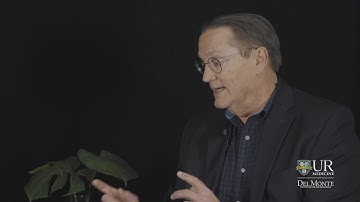 NeURoscience Perspectives: Steven Petersen, PhD